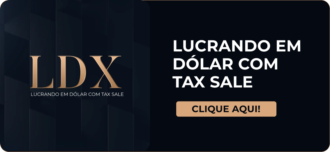 ldx (1)
